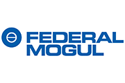 Federal Mogul